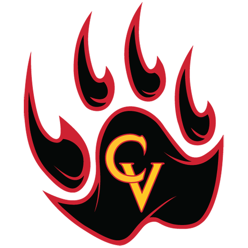 Castle View logo