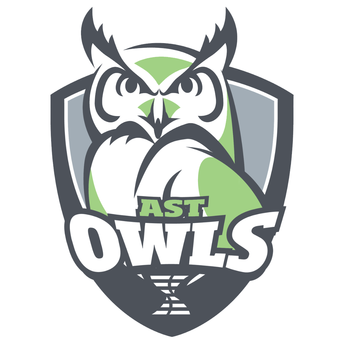 DSST: Aurora Science & Technology logo