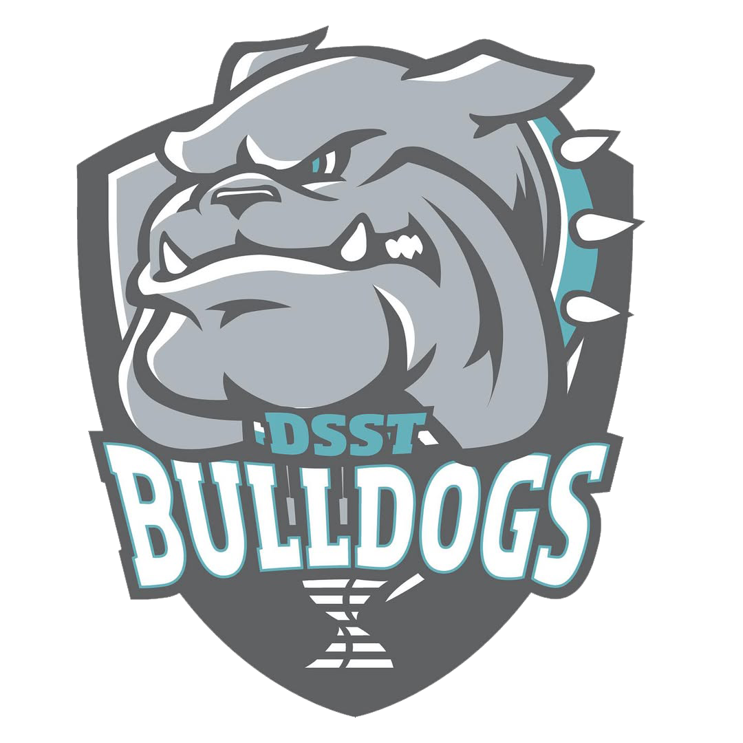 DSST: Elevate logo