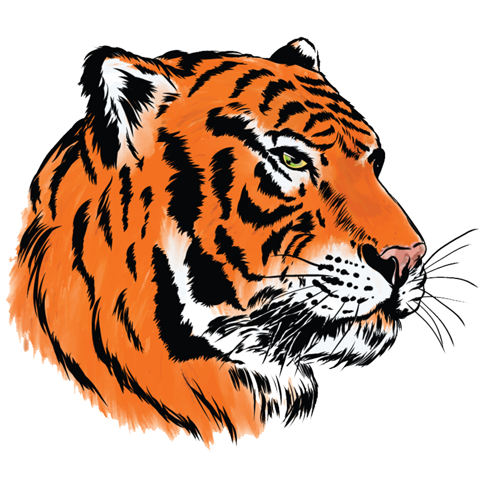 Hayden logo