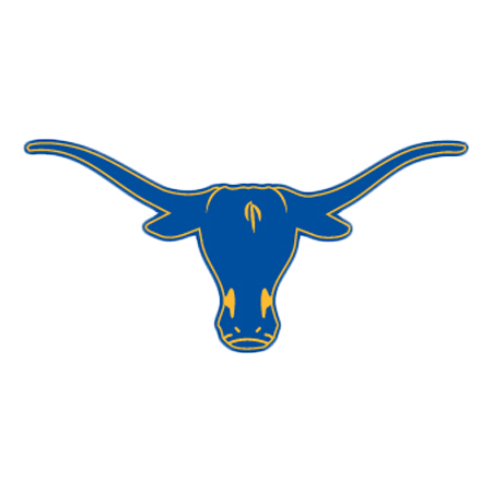 Lone Star logo