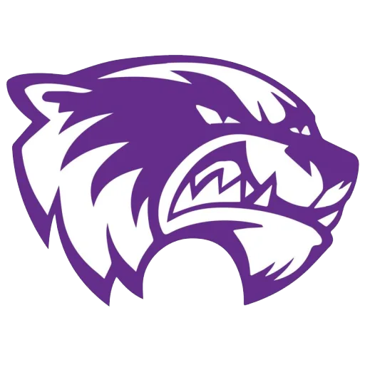 Skyview logo