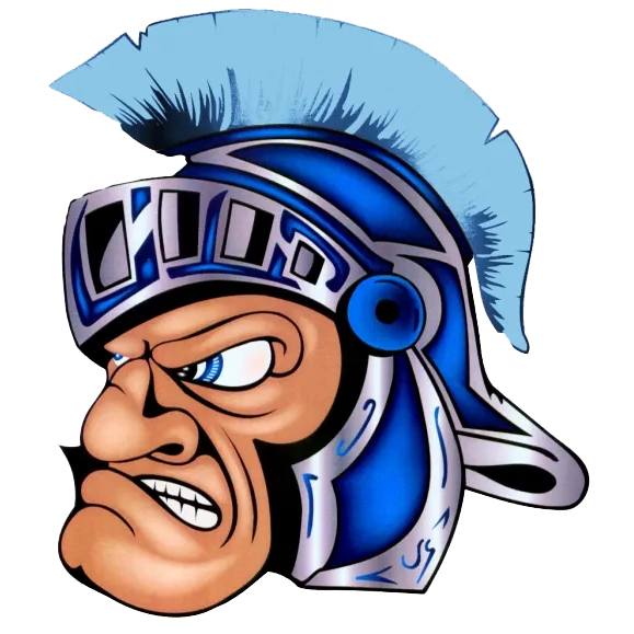 Widefield logo
